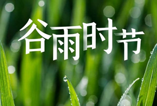 今日谷雨丨雨生百谷，萬(wàn)象更新